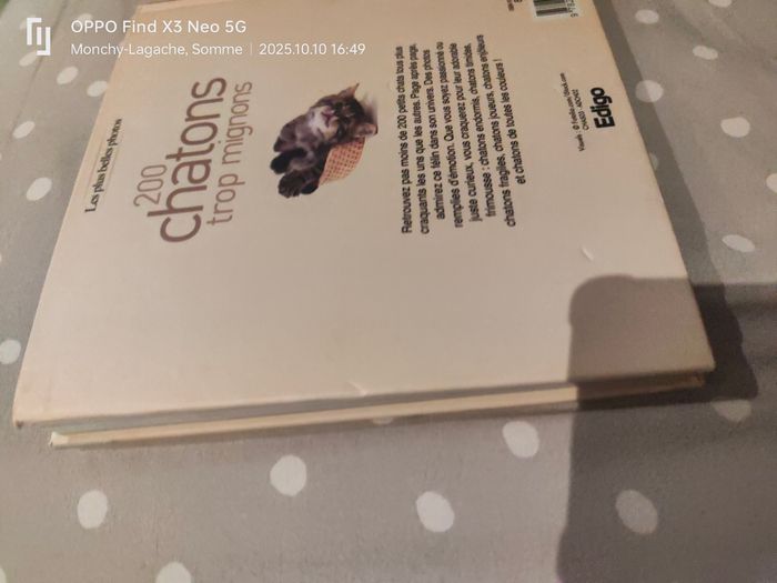 200 chatons trop mignons Réduction jusqu'à -70% - photo numéro 5