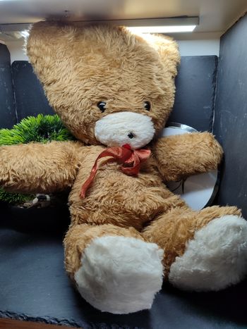 doudou peluche Ours Ancien Marron Blanc Noeud Ruban Santin Rouge Langue Bouche 