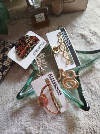 Lot Pinces et Barrettes cheveux Fashion