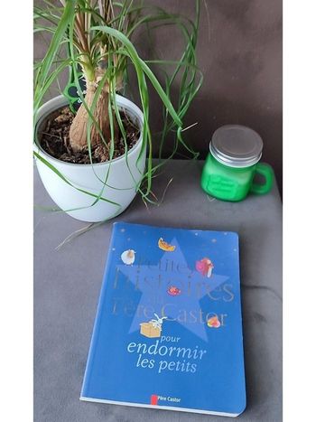 Les histoires de Père Castor