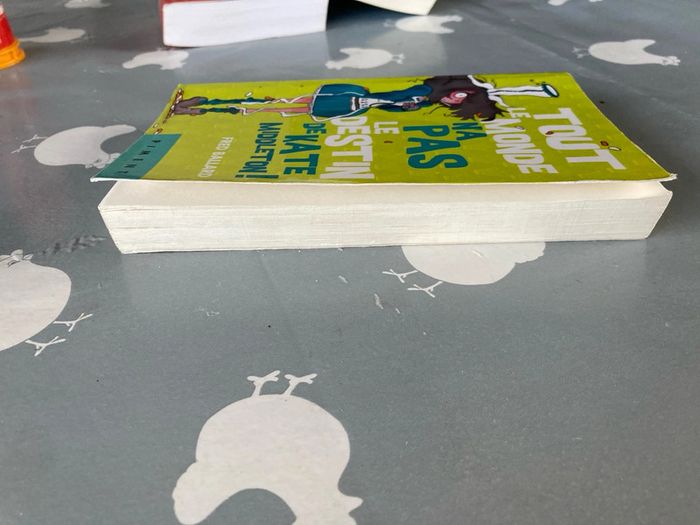 Livre « Tout le monde n’a pas le destin de Kate middletonn - photo numéro 3