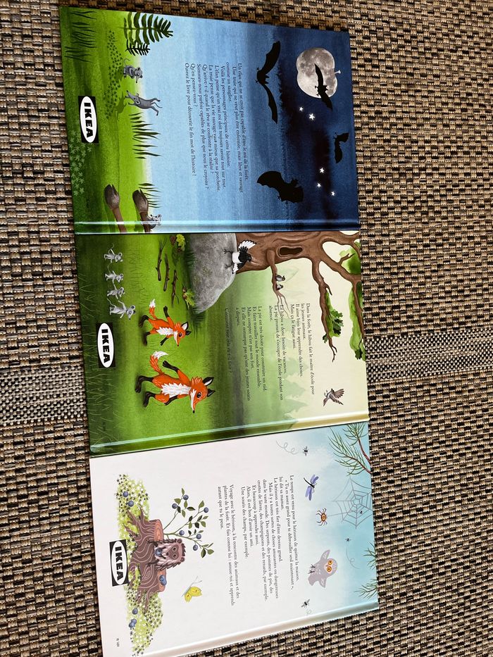 3 livres jeunesse - photo numéro 6
