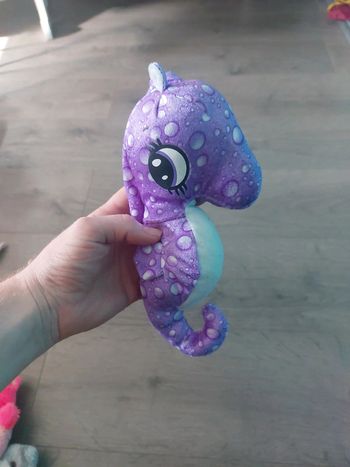 Hippocampe