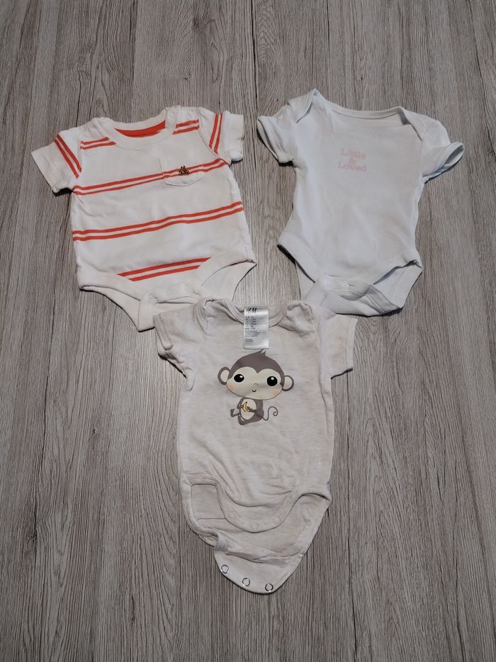 Lot de 7 bodies 3 mois fille - photo numéro 4