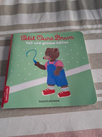 Livre petit ours brun fait une grosse bêtise 