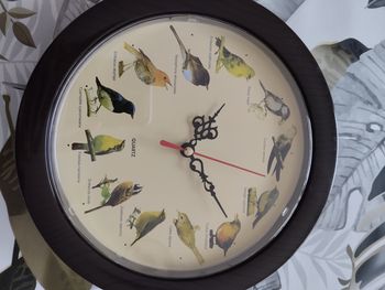 Horloge chant d'oiseau