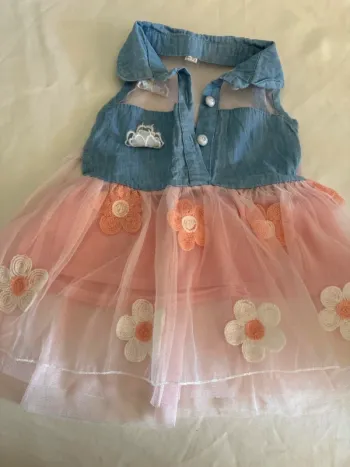 Robe chemisier