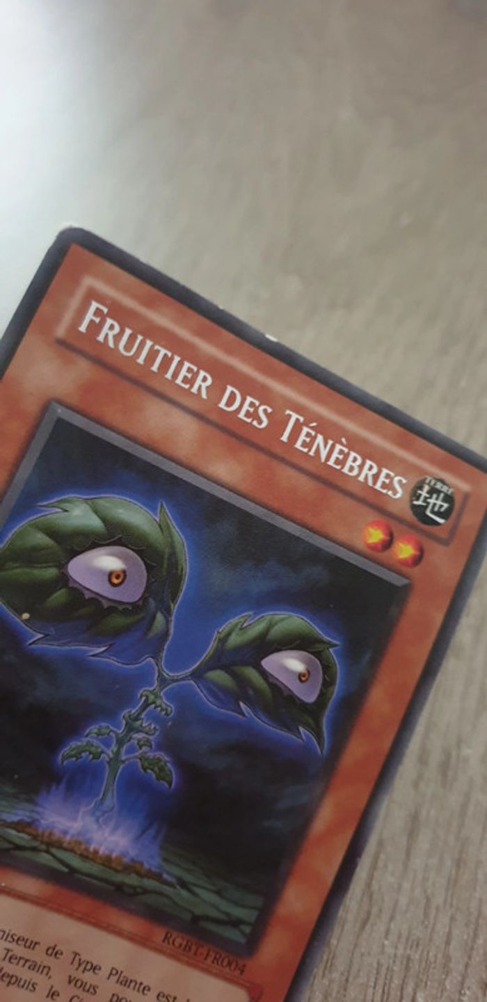 Carte yu-gi-oh fruitier des ténèbres - photo numéro 2