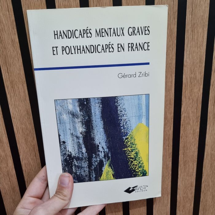 Handicapes mentaux graves et polyhandicapes en France - photo numéro 1