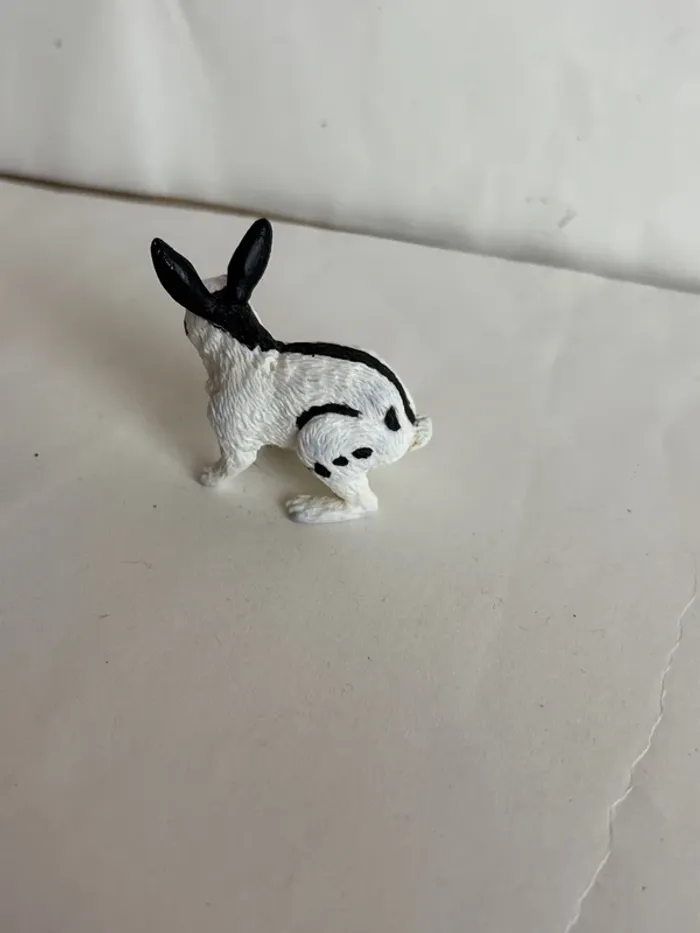 Lapin papo - photo numéro 3