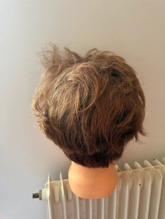 Tête malléable professionnelle Raphael Perrier - Cheveux colorés et méchés - photo numéro 3