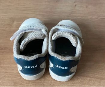 Basket geox 
