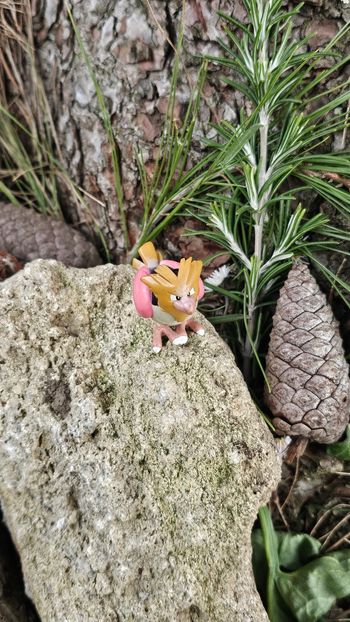 Super figurine Pokemon Nintendo tomy C.G.T.S.J Piafabec 