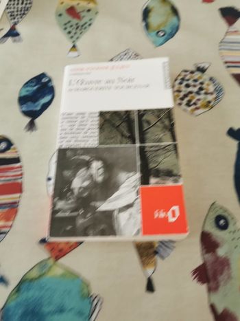 Anne Yvonne Julien commente l'œuvre au noir