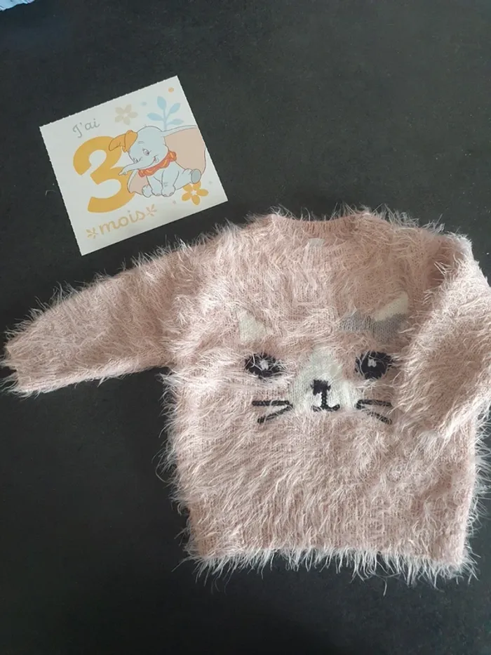 Pull chat 3mois
