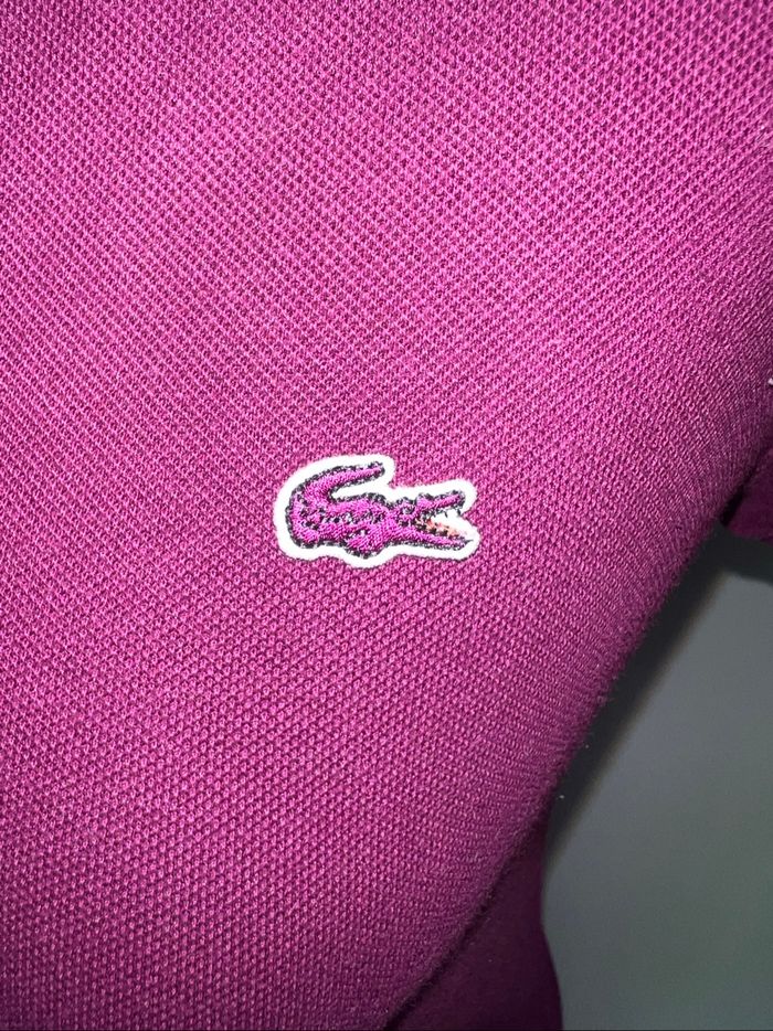 Polo Lacoste - photo numéro 2