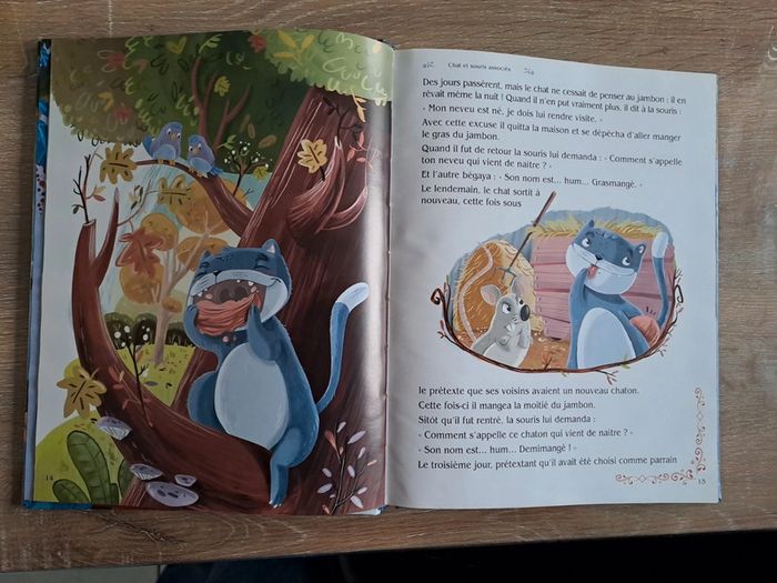 Les plus belles histoires pour jeunes enfants - photo numéro 5