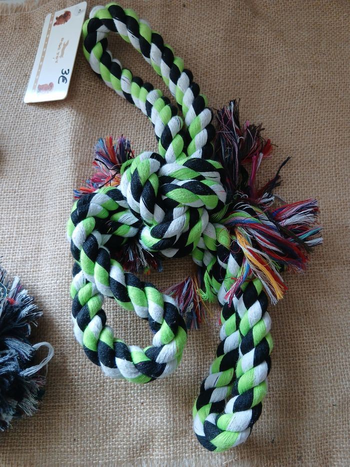 Lot de 3 jouets pour chien 2-10kg - photo numéro 6