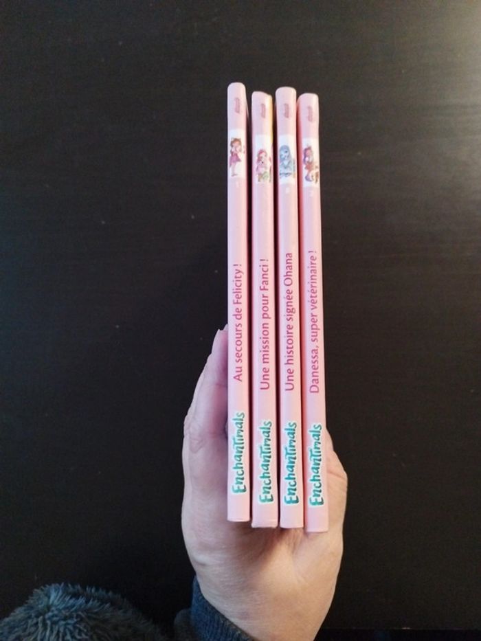Lot 4 livres Enchantimals - photo numéro 11