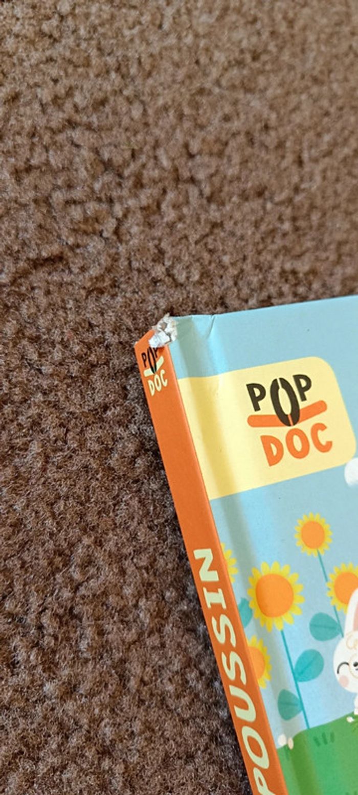 Livre de l'oeuf au poussin poule - photo numéro 2