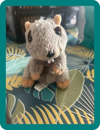 Marmotte qui chante, musique enfant neige