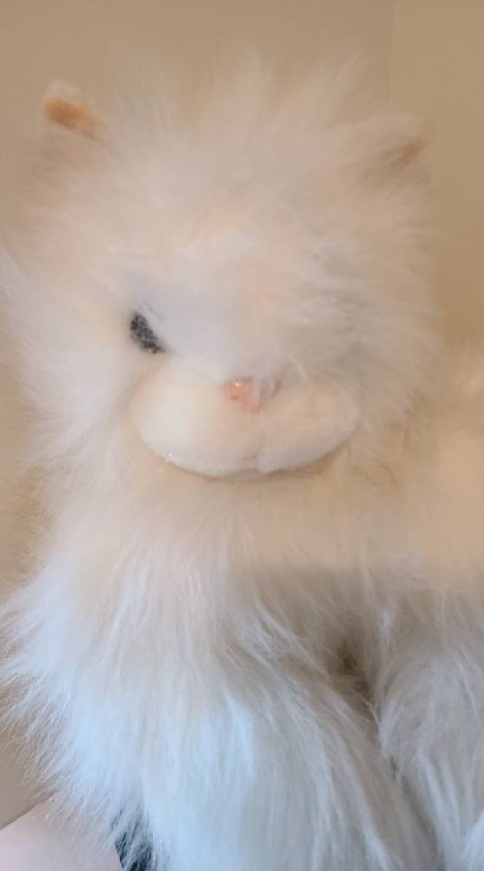 peluche chat blanc angora gipsy range pyjama - photo numéro 10