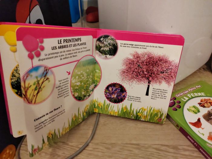 Lot 2 livres enfants 3/6 ans - photo numéro 3