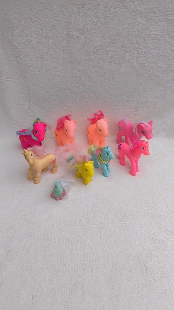 Lot 9 poneys