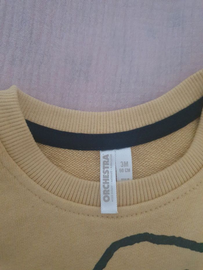 Sweat dinosaure 3 mois - photo numéro 2