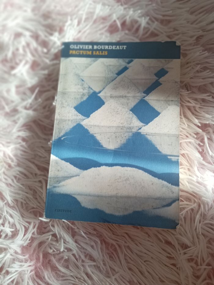 Livre - photo numéro 2