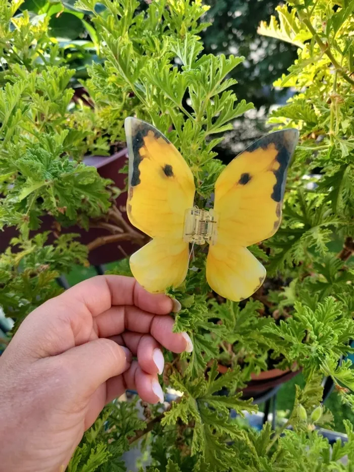 Pince a cheveux papillon