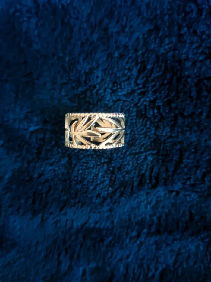 Bague en acier inoxydable