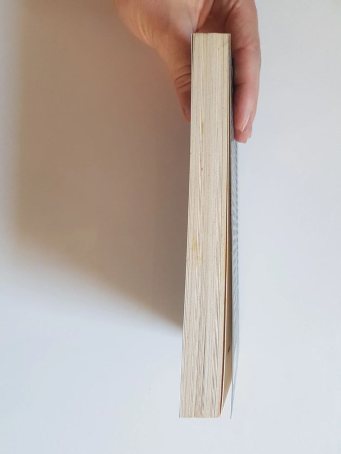 Franz Bartelt Le jardin du bossu - photo numéro 6