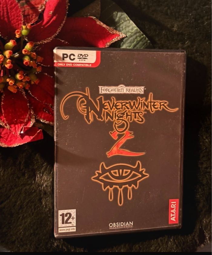 Never winter knights - photo numéro 2