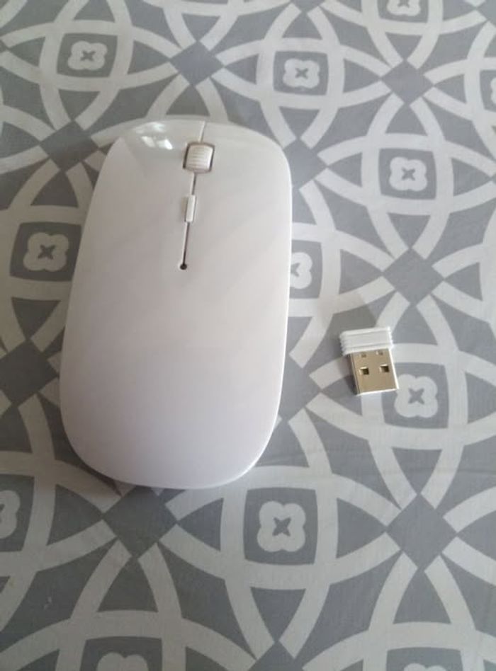 Vende souris pour ordinateurs