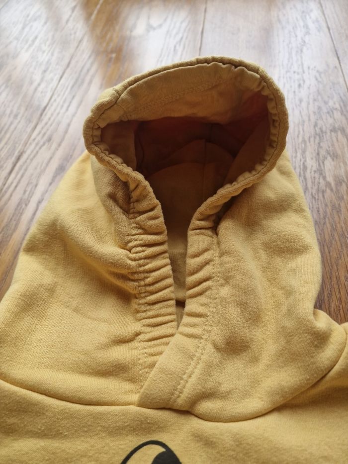 Ensemble le roi lion - photo numéro 3