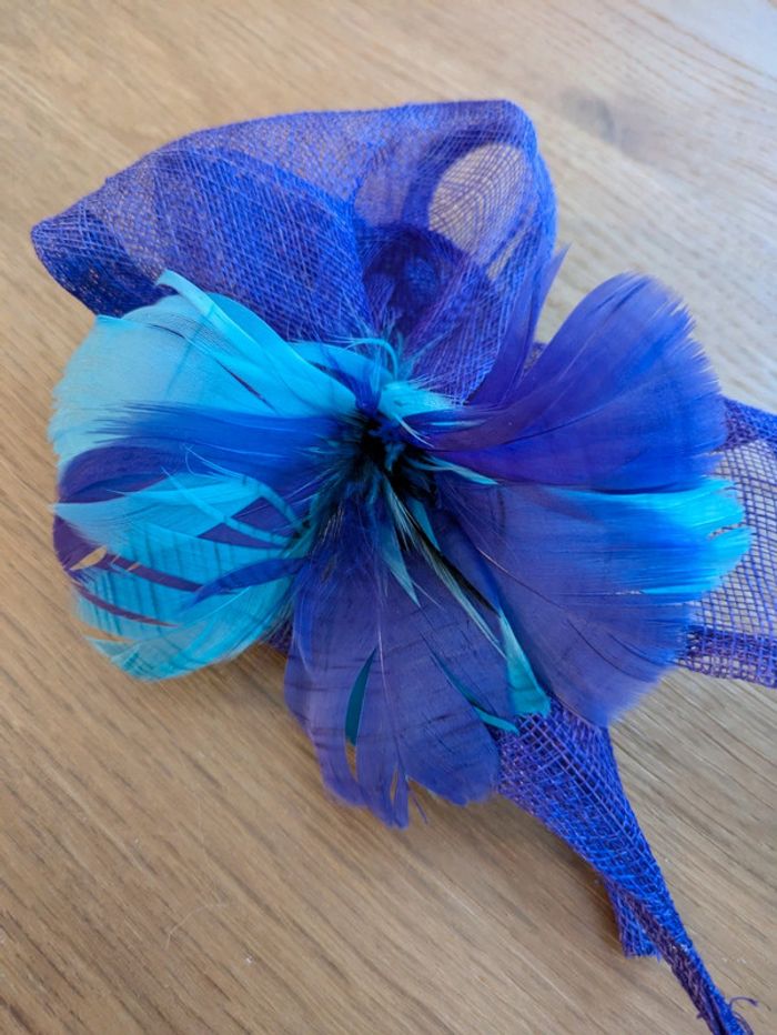 Pince violet et bleu - photo numéro 2