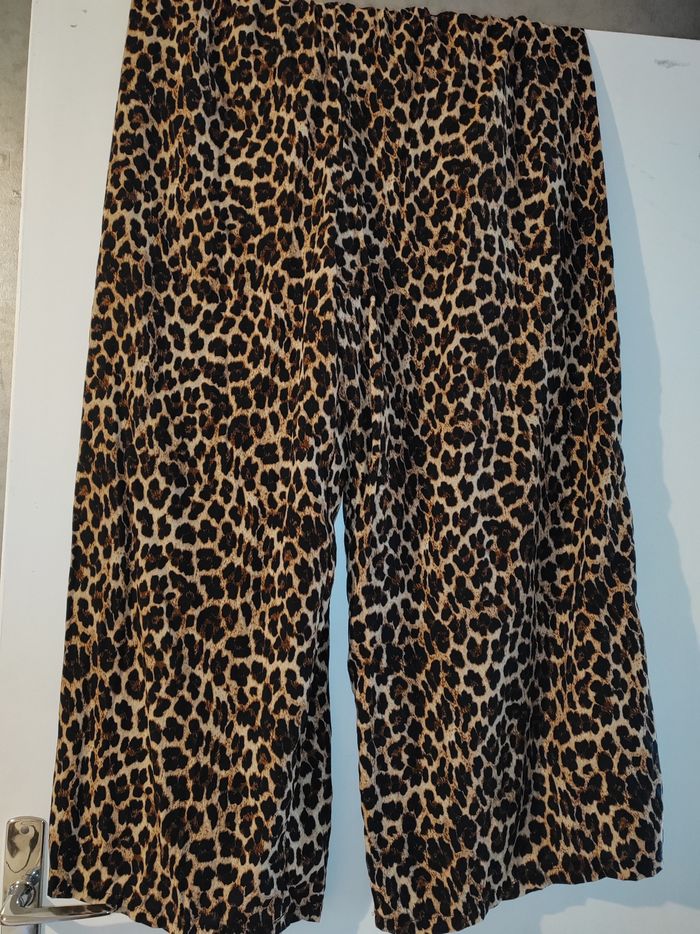 palazzo léopard - photo numéro 3