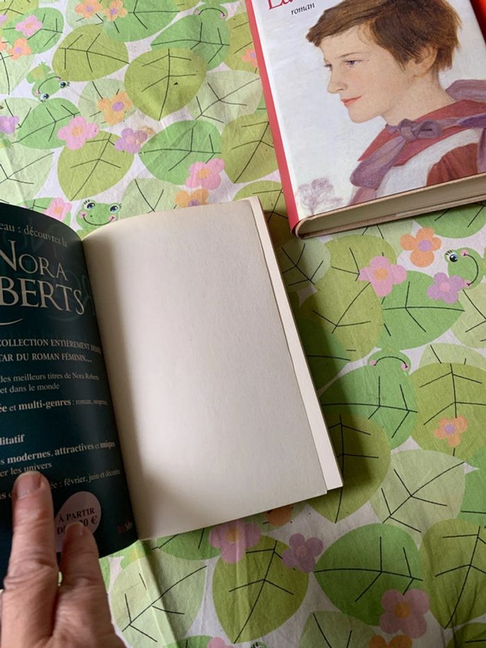 Lot romans - photo numéro 15