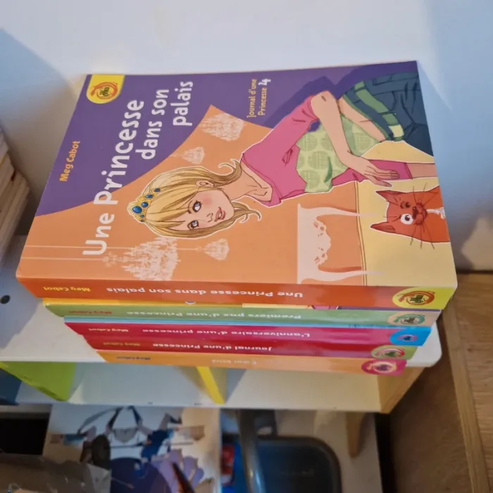 Livre journal d'une princesse - photo numéro 2
