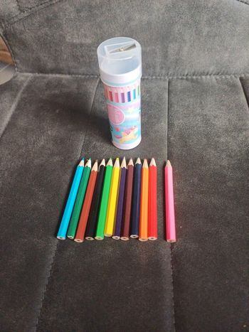 12 crayons de couleurs et sa boîte de rangement licorne avec taille crayon