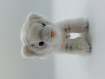 Petite peluche doudou tigre blanc NATURE PLANET plan international yeux bleus