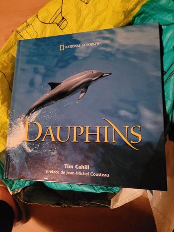 Dauphins