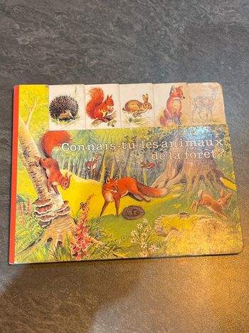 Livre jeunesse connais tu les animaux de la forêt