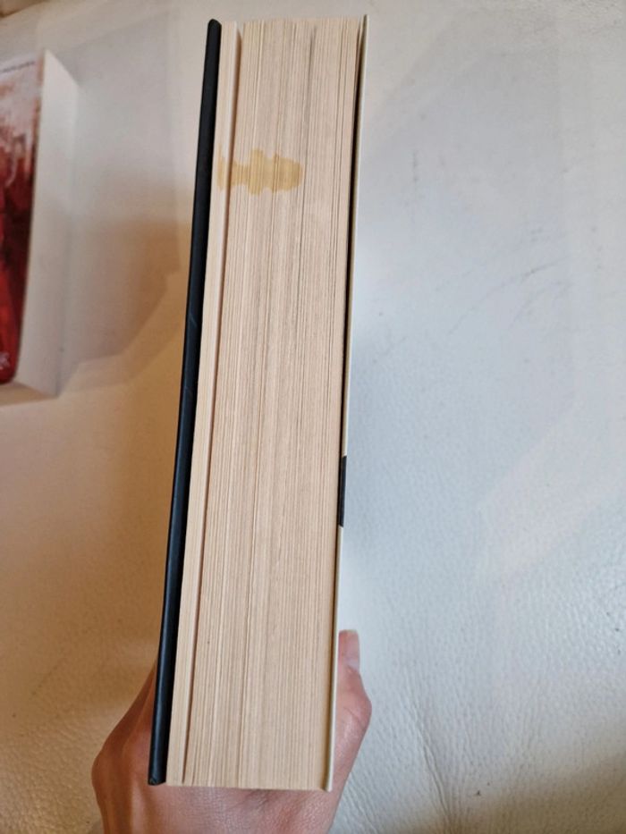 Livre policier - photo numéro 3