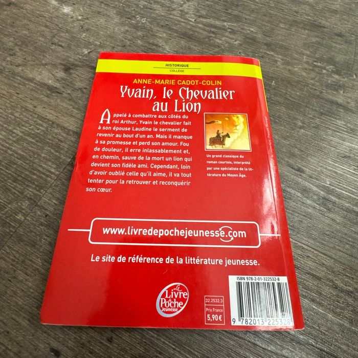 Yvain, le chevalier au lion - photo numéro 4
