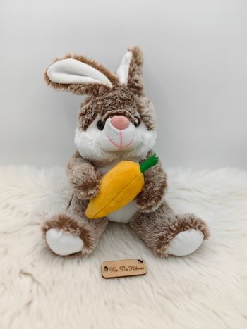 🥕Doudou Peluche lapin marron et blanc