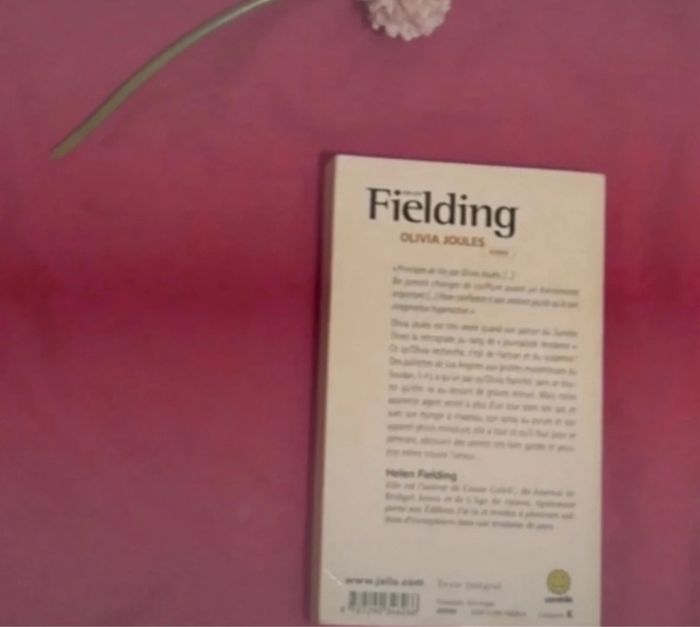 Fielding - photo numéro 2
