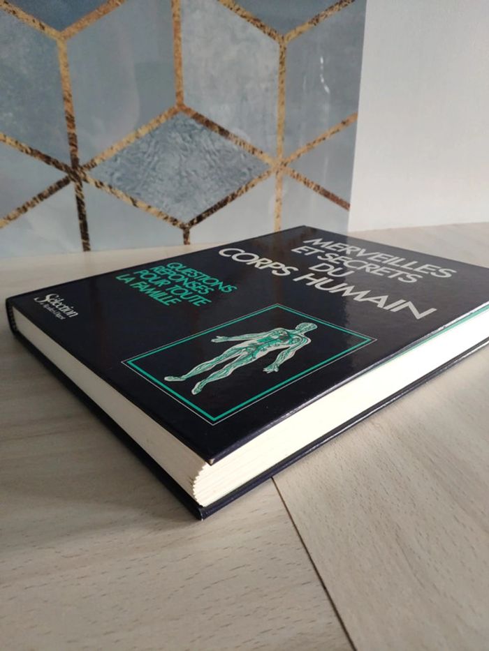 Livre grand format merveilles et secrets du corps humain questions réponses famille - photo numéro 2