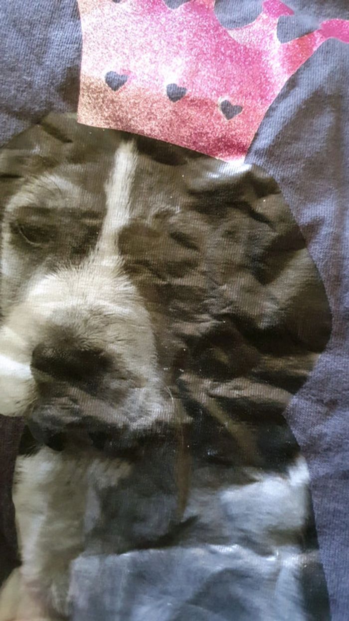 Tee-shirt manches courtes fille ado Taille 12 ans - photo numéro 5